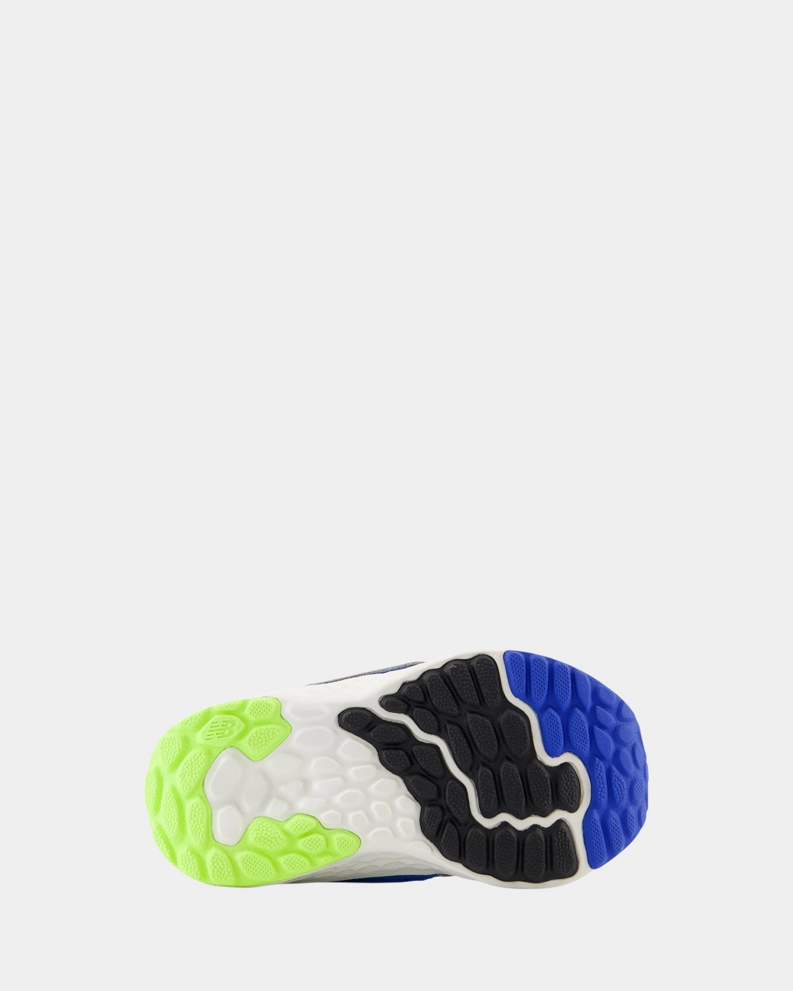 NW Arishi V4 Infant Blue Oasis Sneakers For Dogs