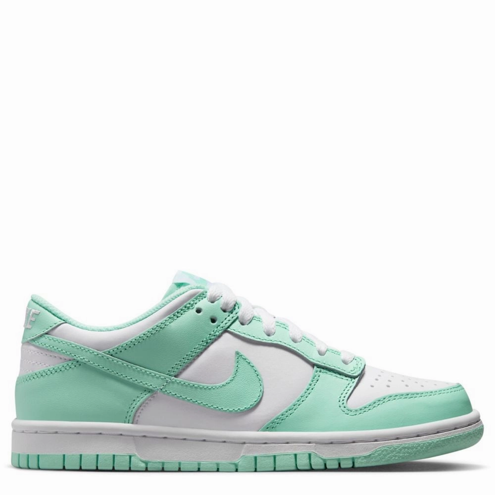 Dunk Low (Big Kid) Fall Sneakers