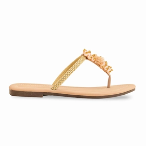 Fawn Casual Chappal CL1950 Lena Casual Slip On Shoe