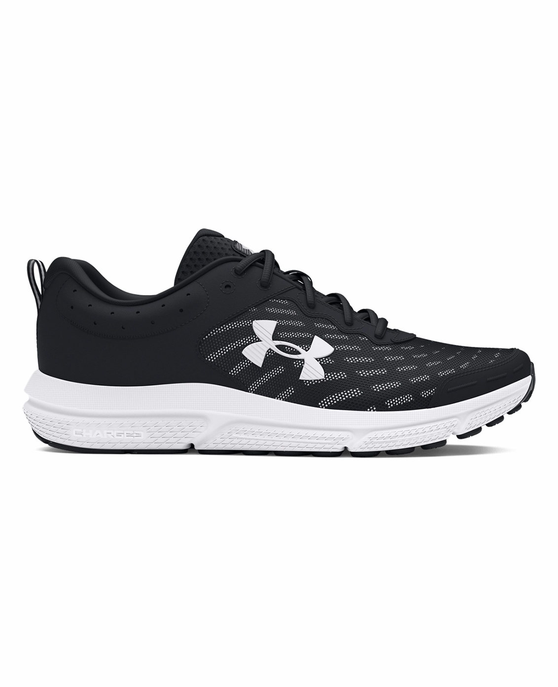 Type Of Running Shoes UA Charged Assert 10 Men's Running Shoes