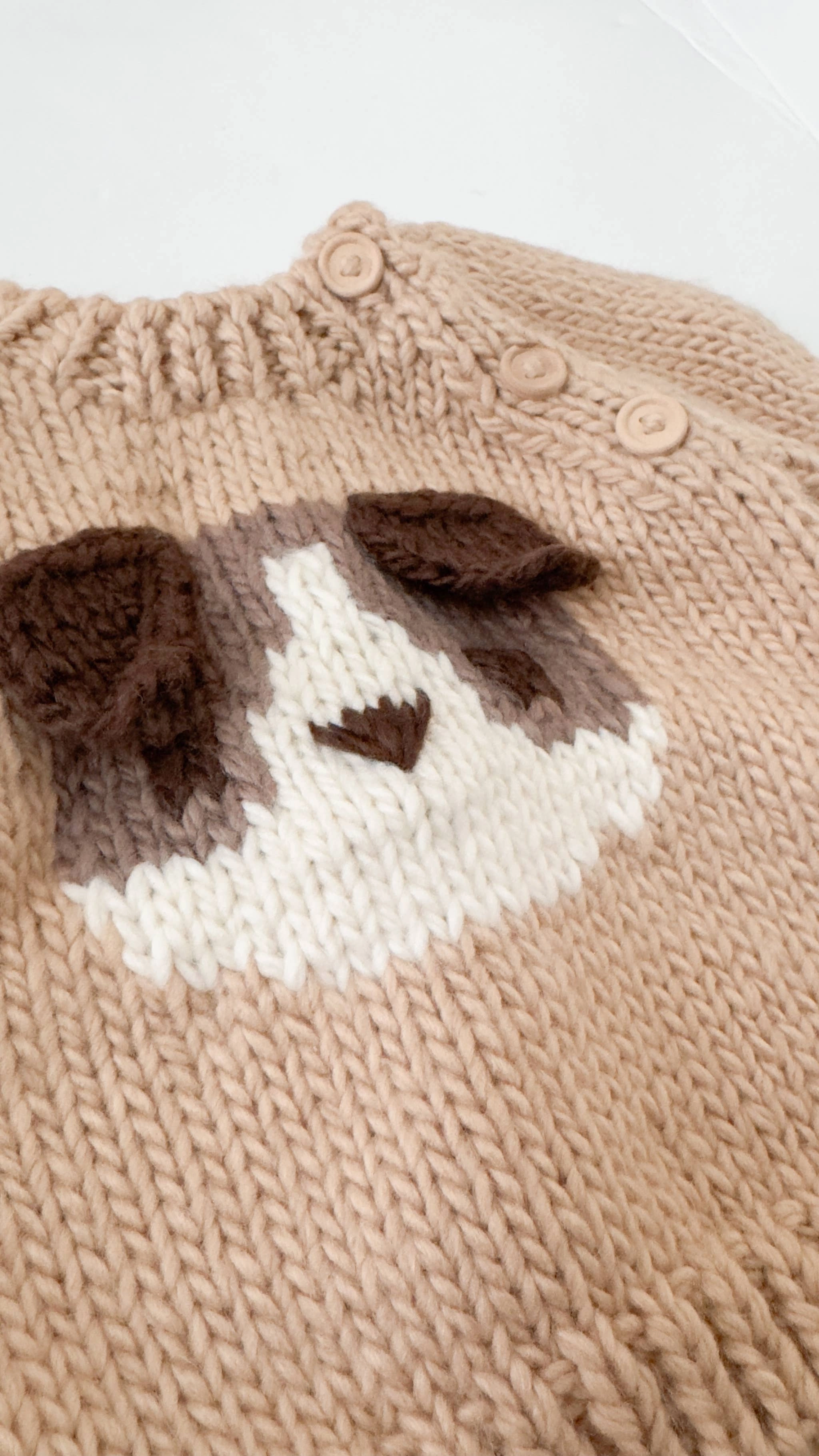 Dog Pullover 3D Sweater Baby Kid Fall Winter School Flat Exercise Shoes