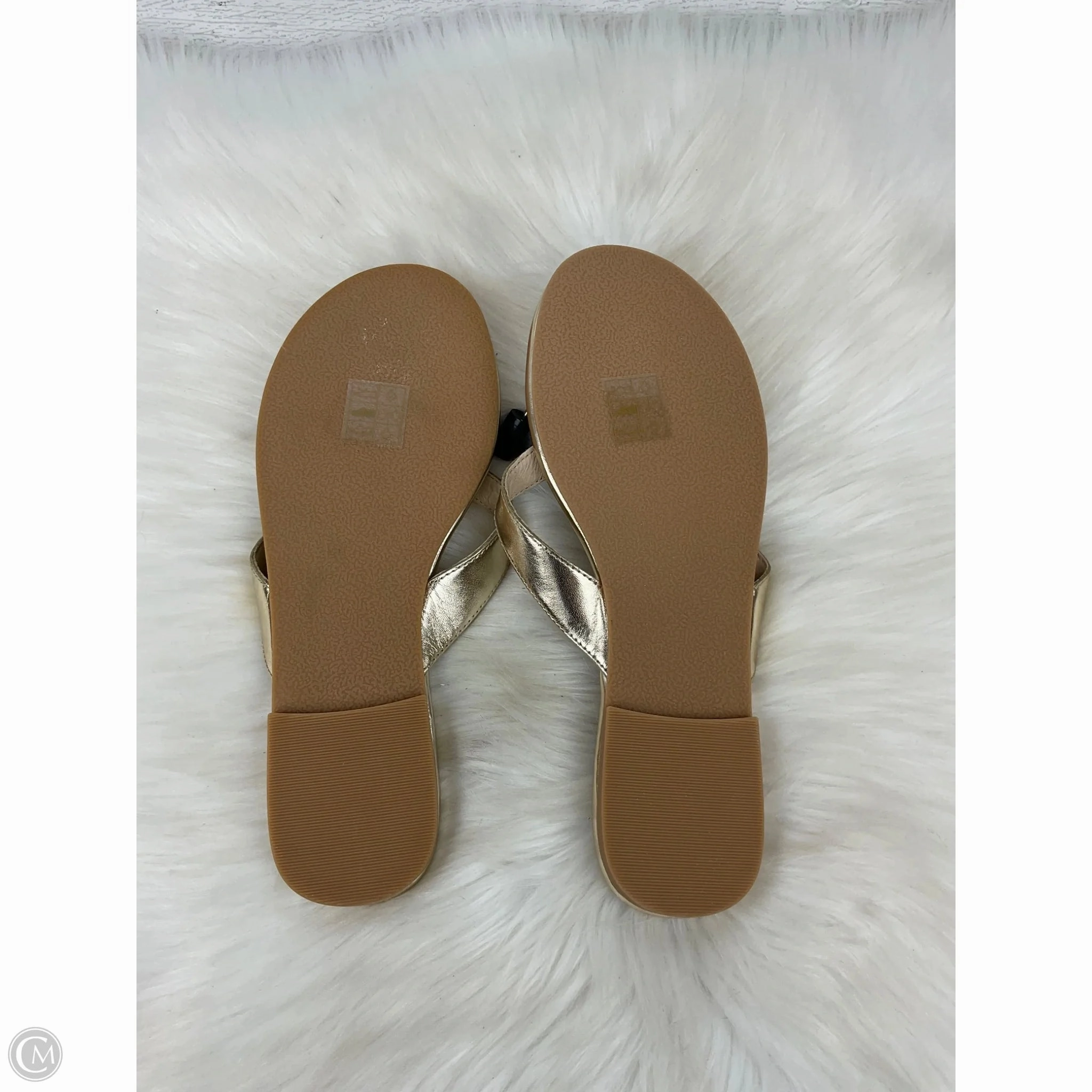 Clean Flip Flops With Vinegar Sandals Flip Flops By Jack Rogers In Gold, Size: 8.5