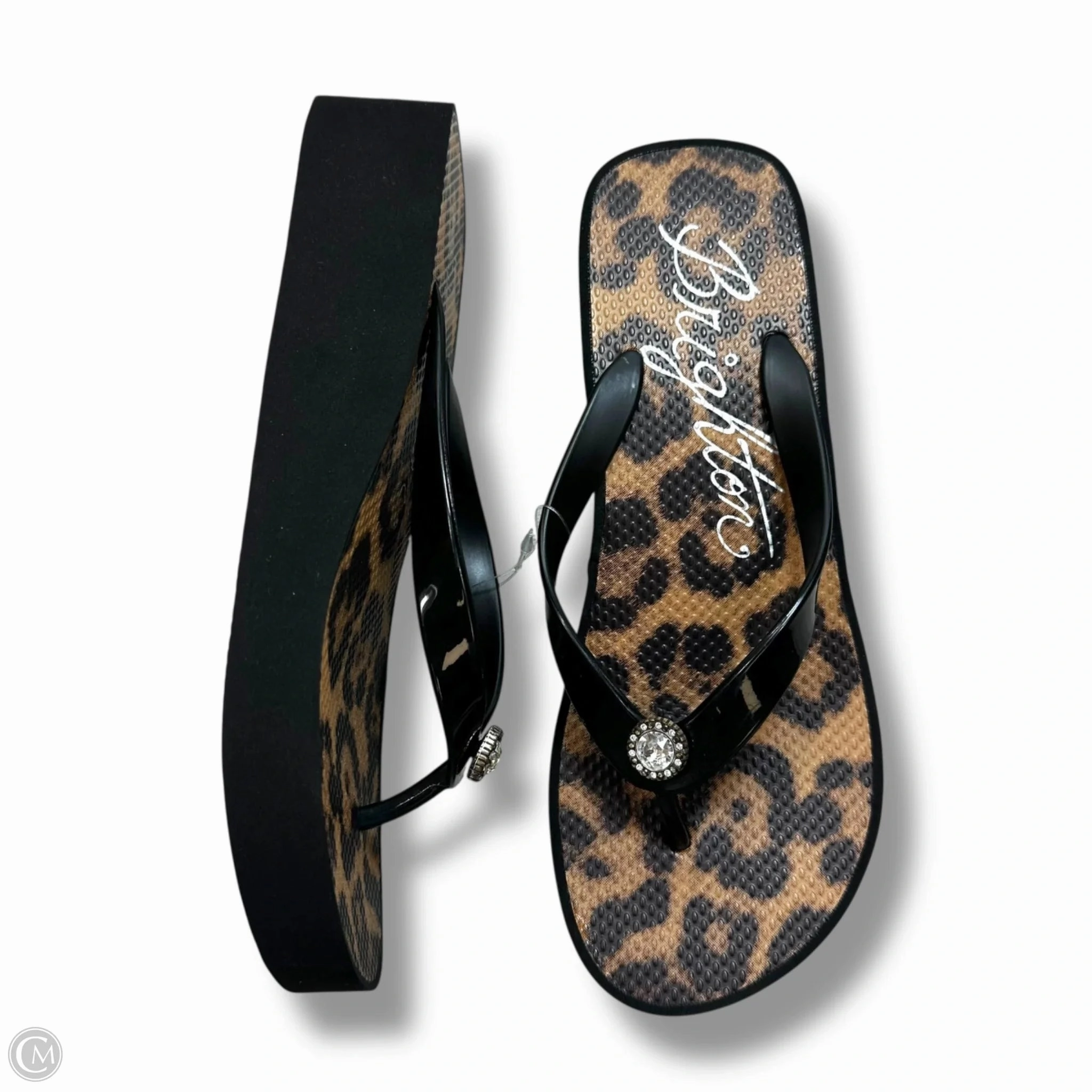 Sandals Flip Flops By Brighton In Animal Print, Size: 8 Polka Dot Flip Flops