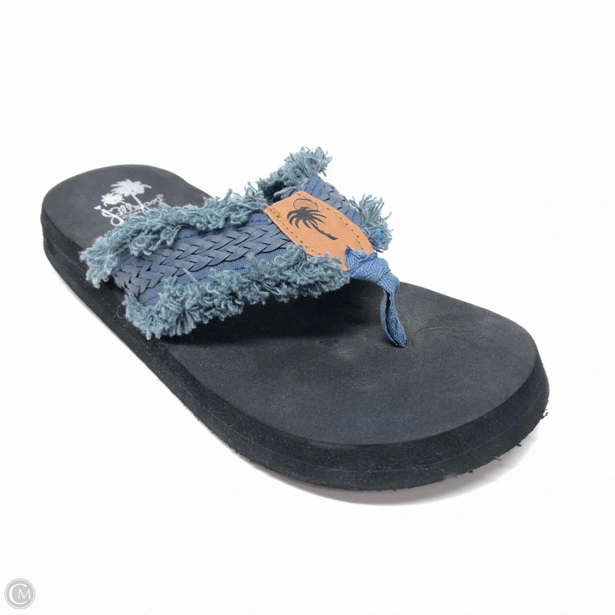 Smelly Reef Flip Flops Sandals Flip Flops By Jelly Pop In Blue, Size: 7