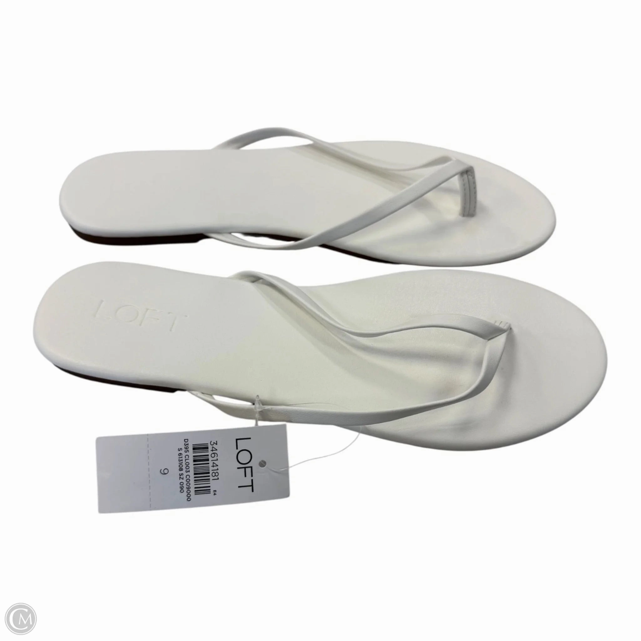 Frye Flip Flops Sandals Flip Flops By Loft In White, Size: 9