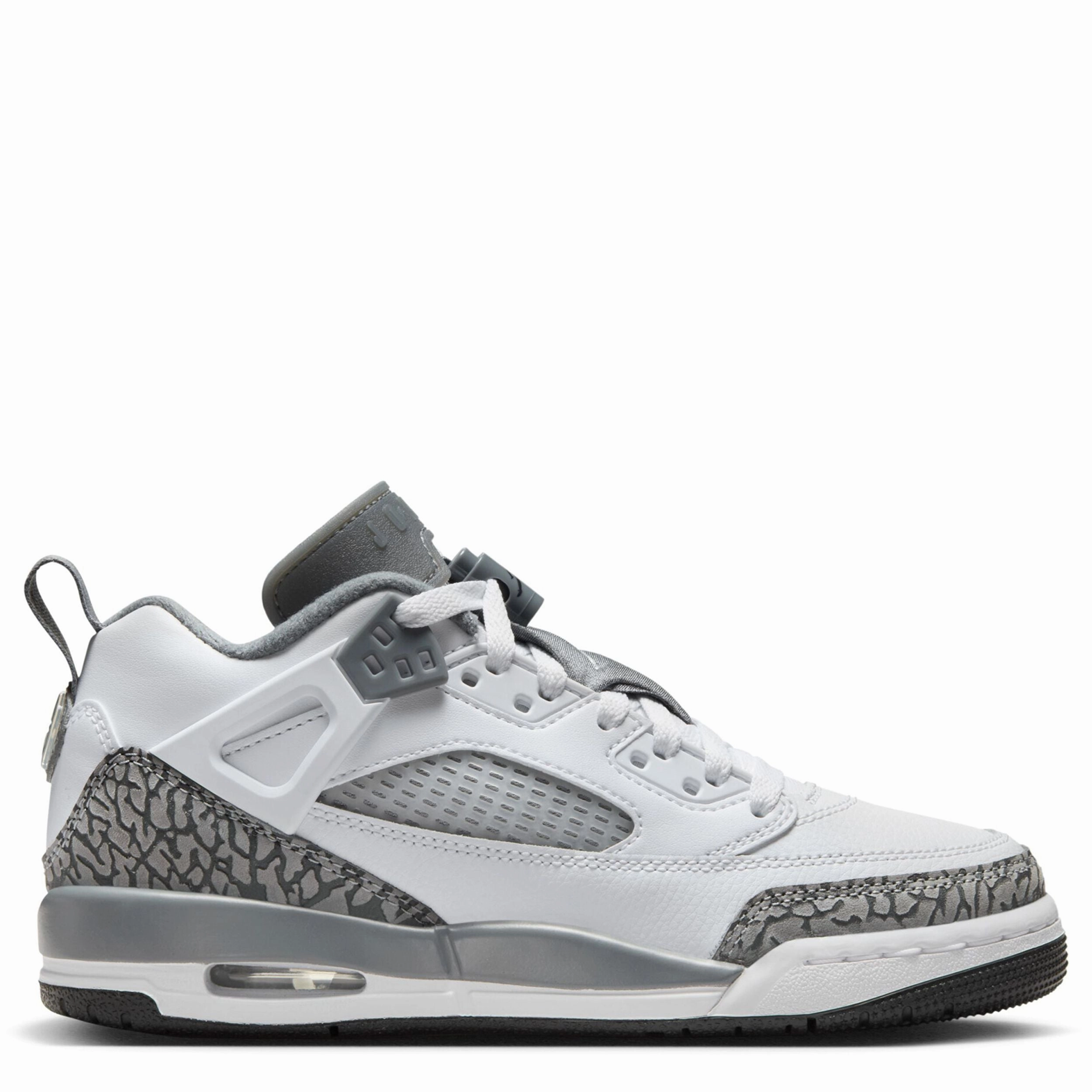 Spizike Low (Big Kid) Wellcare Silver Sneakers