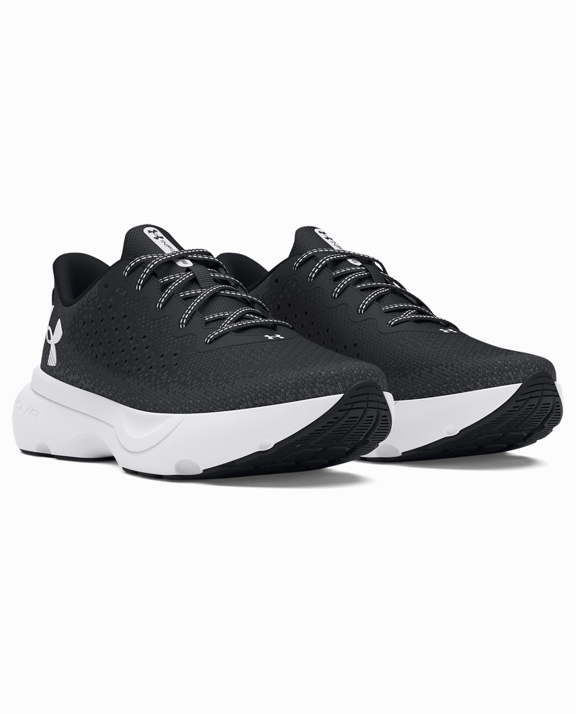 Dog In Running Shoes UA Infinite Women's Running Shoes